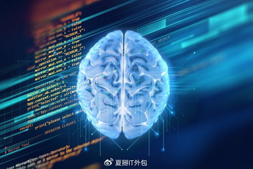 軟件開發(fā)公司的AI魔法 解鎖無限可能的軟件外包服務(wù)新紀(jì)元